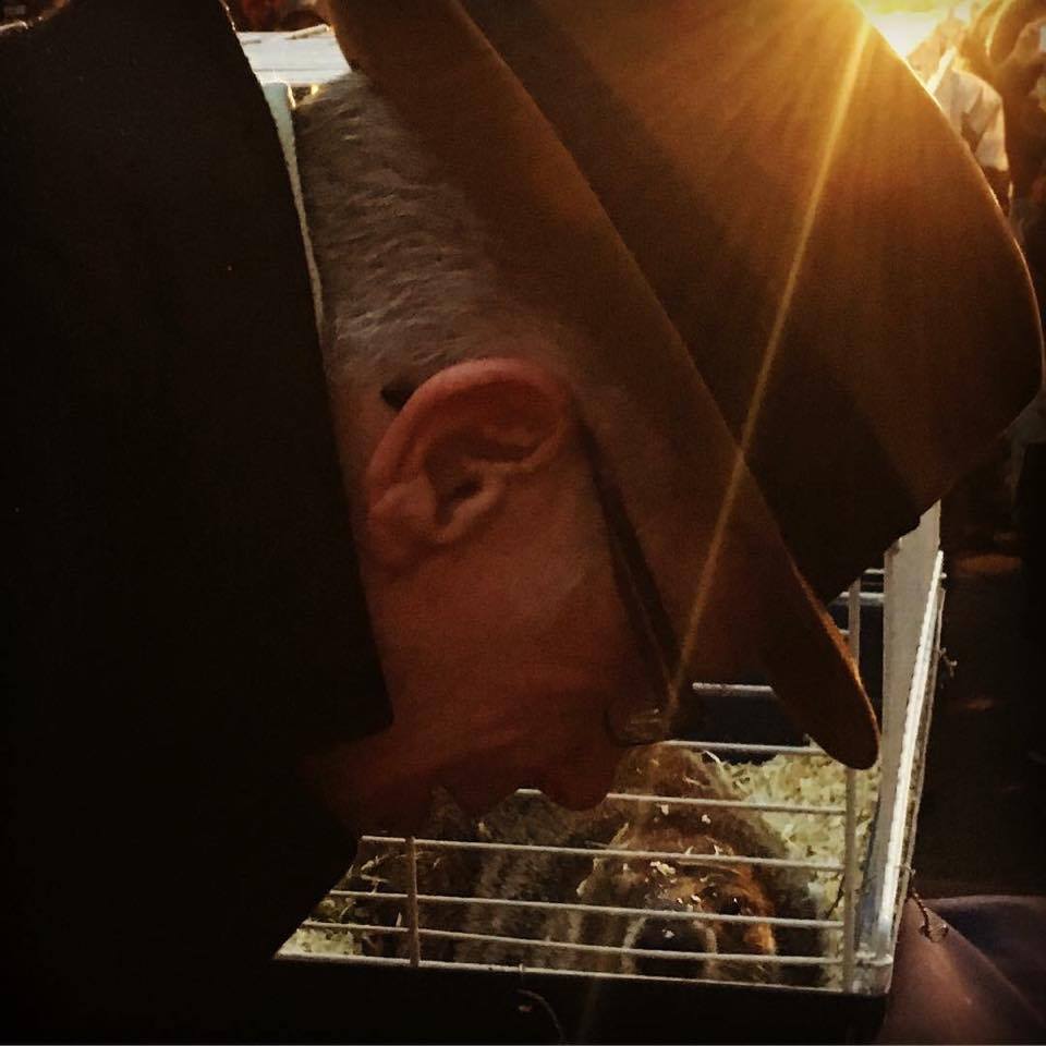 Groundhog Day Mayor 2016