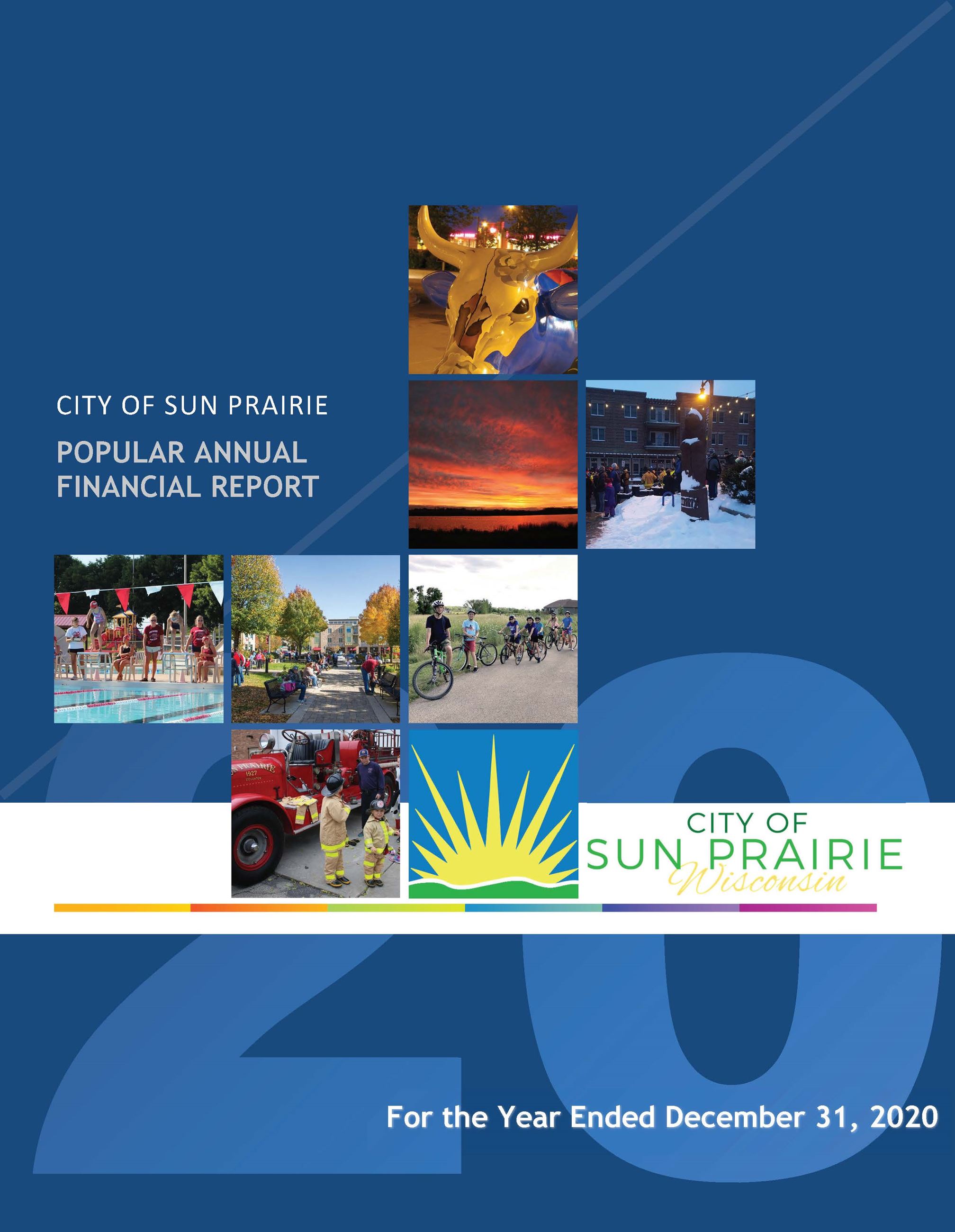 2020 PAFR Cover