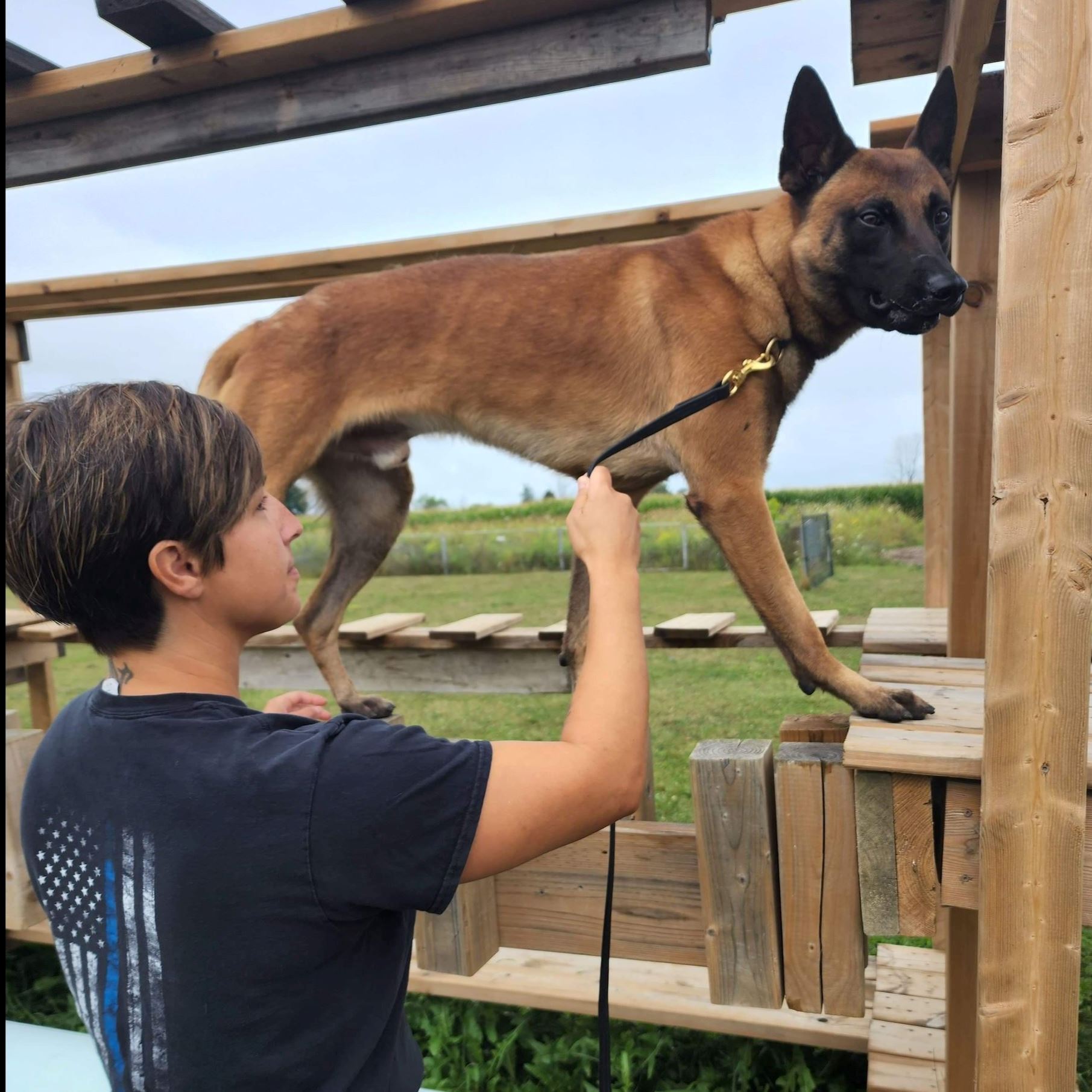 Building search