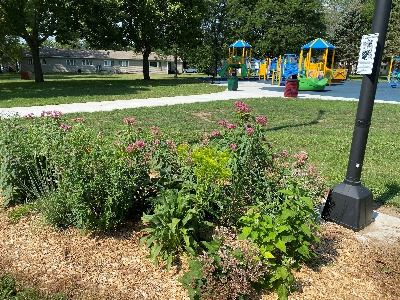 Vandenburg Heights Park Pollinator Garden