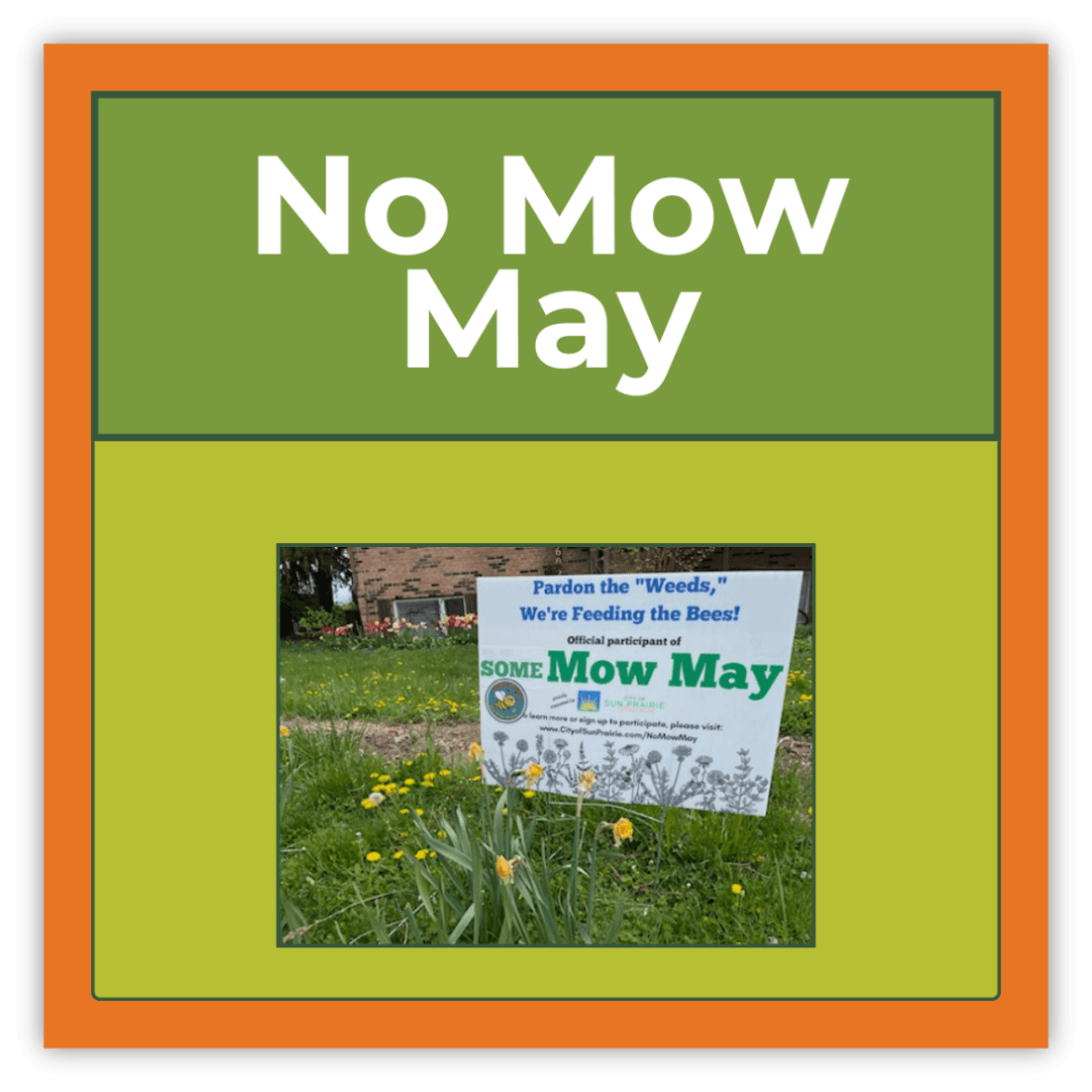 NMM Button
