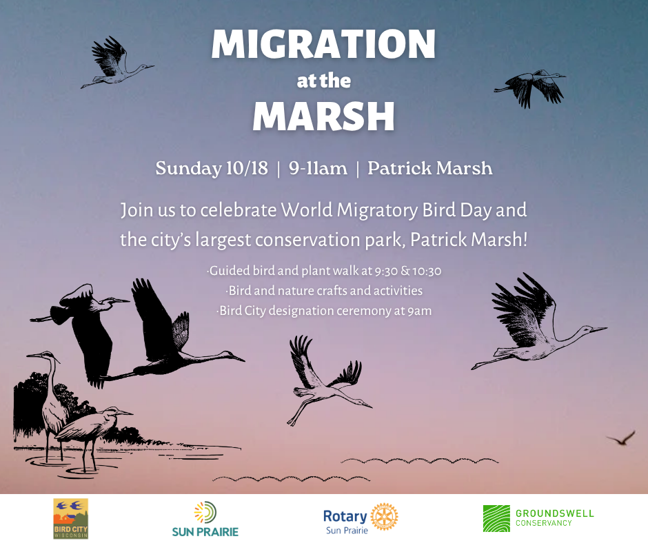 World Migratory Bird Day Facebook Post