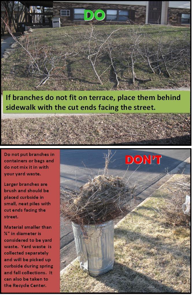 Branches Behind Sidewalk and Can Brush