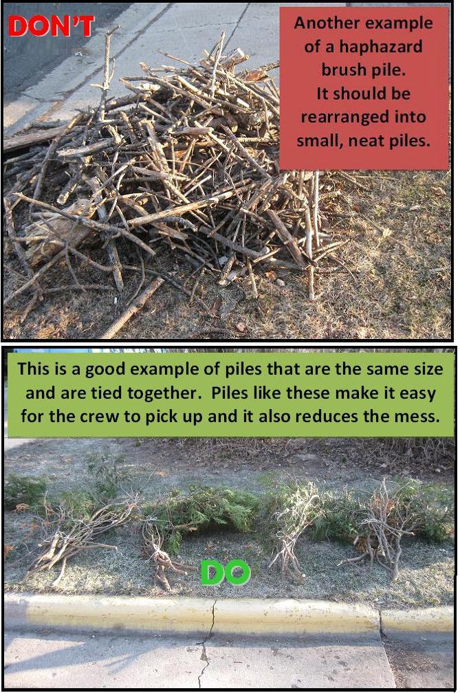 Haphazard Pile and Bundled Branches