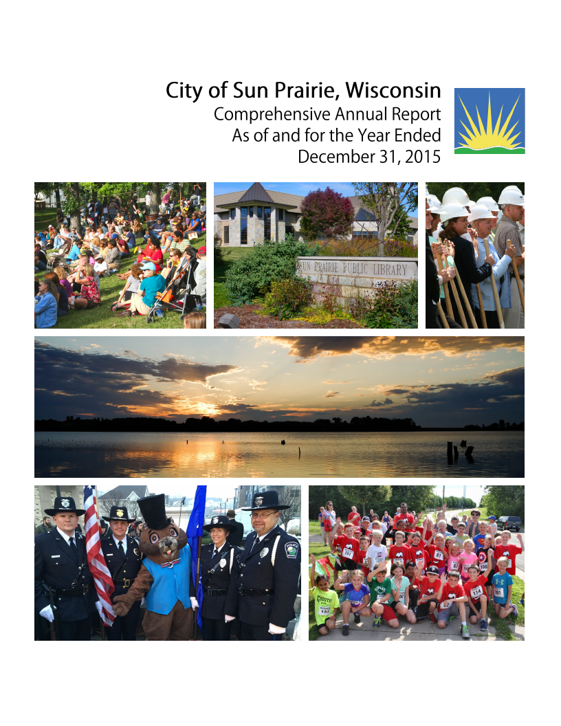 2015 CAFR Cover
