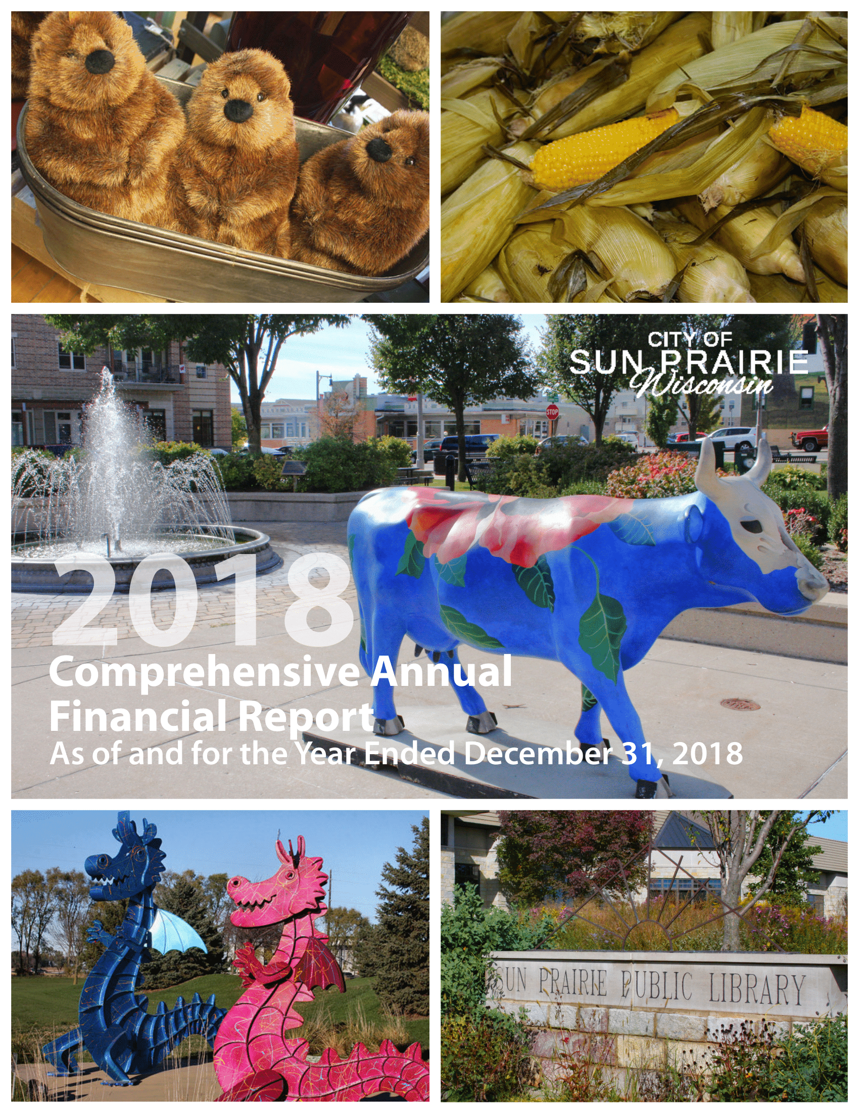 2018 CAFR Cover