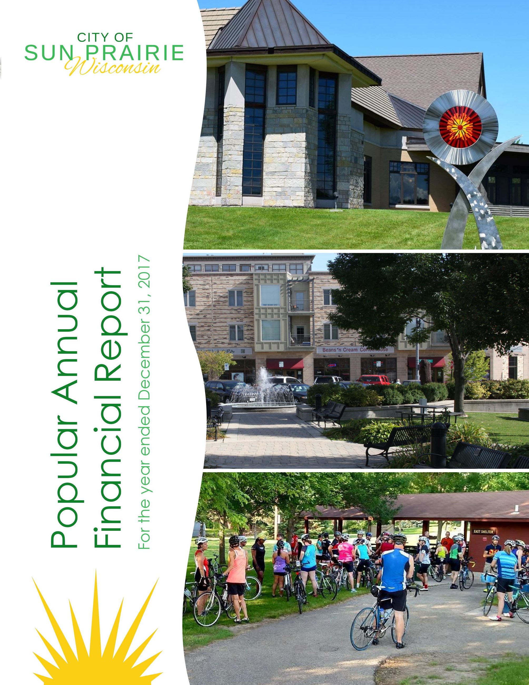 2017 PAFR Cover