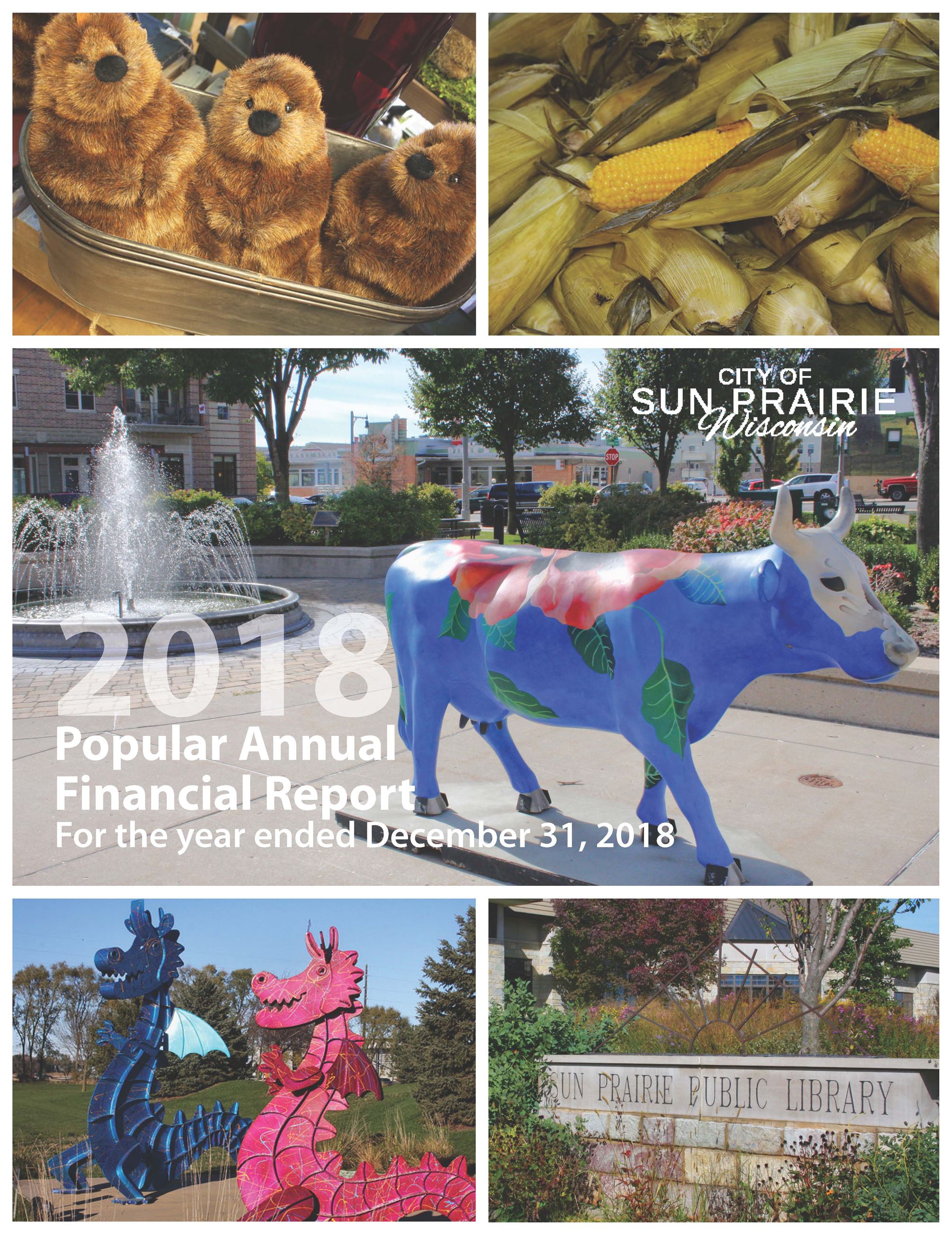 2018 PAFR Cover