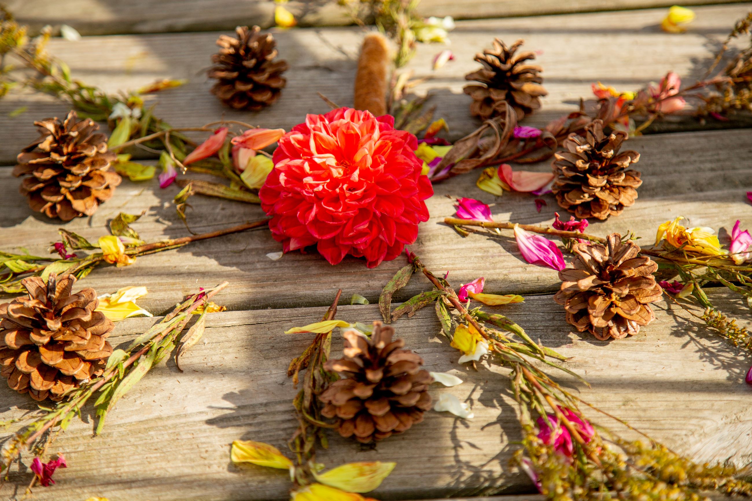 Flowers arranged on a boardwalk Opens in new window