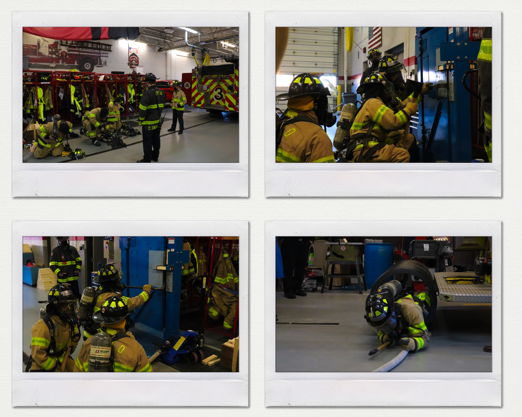 Untitled design (17)