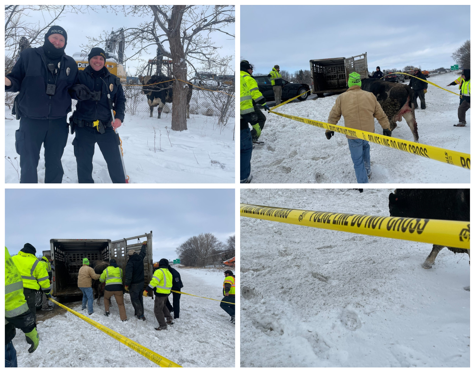 Untitled design (18)