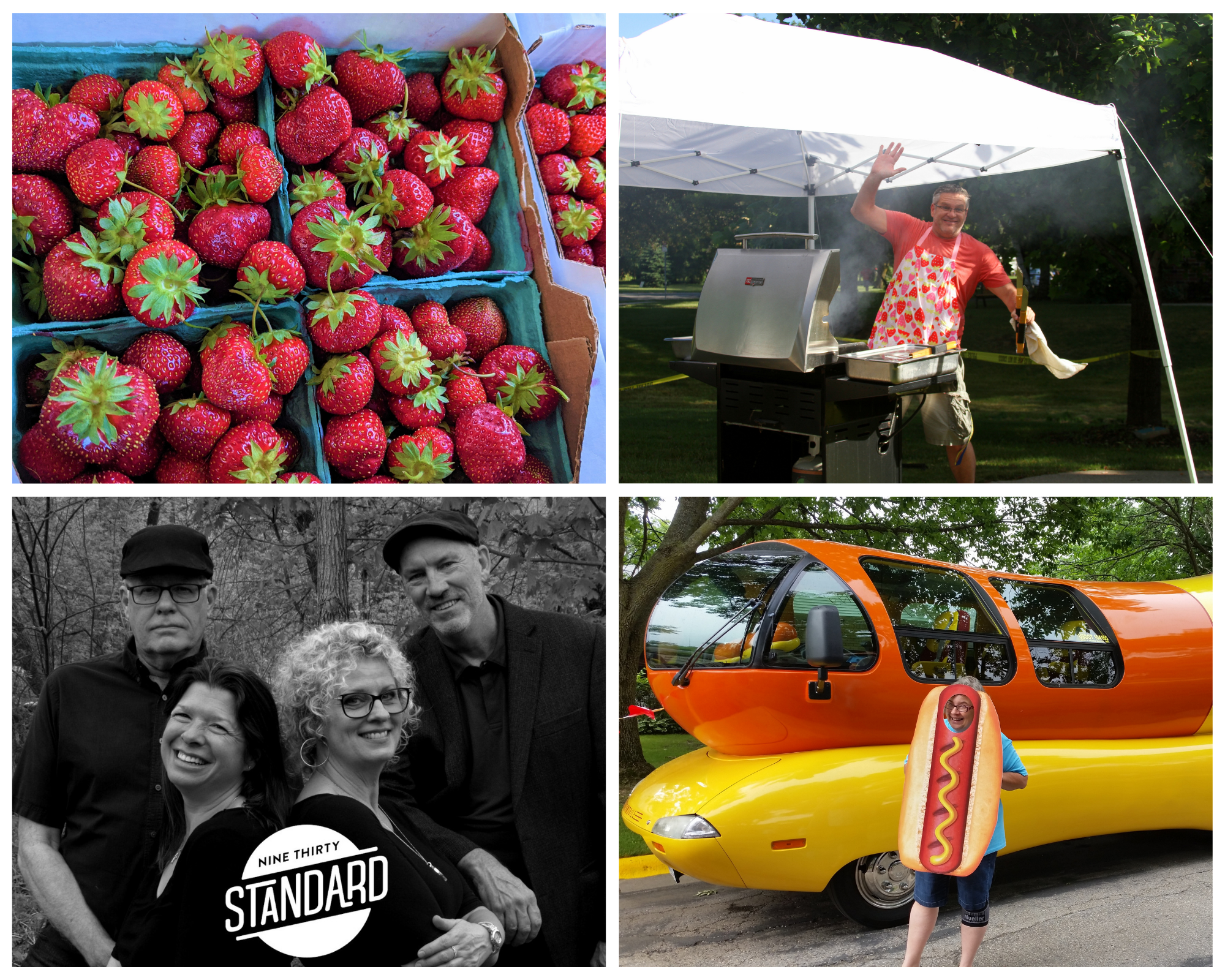 Untitled design (24) Opens in new window