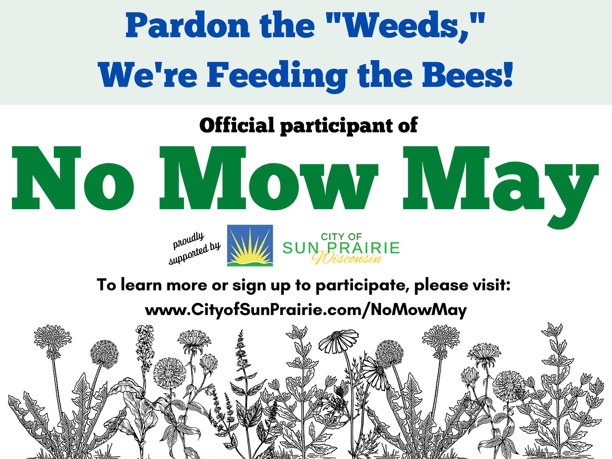 278920371_355986173223009_8016300577896055559_n