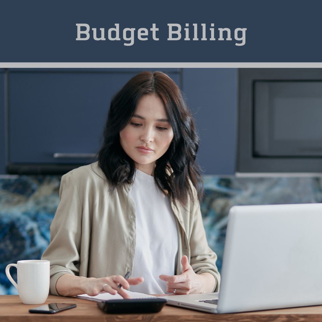 thumbnail_Budget Billing