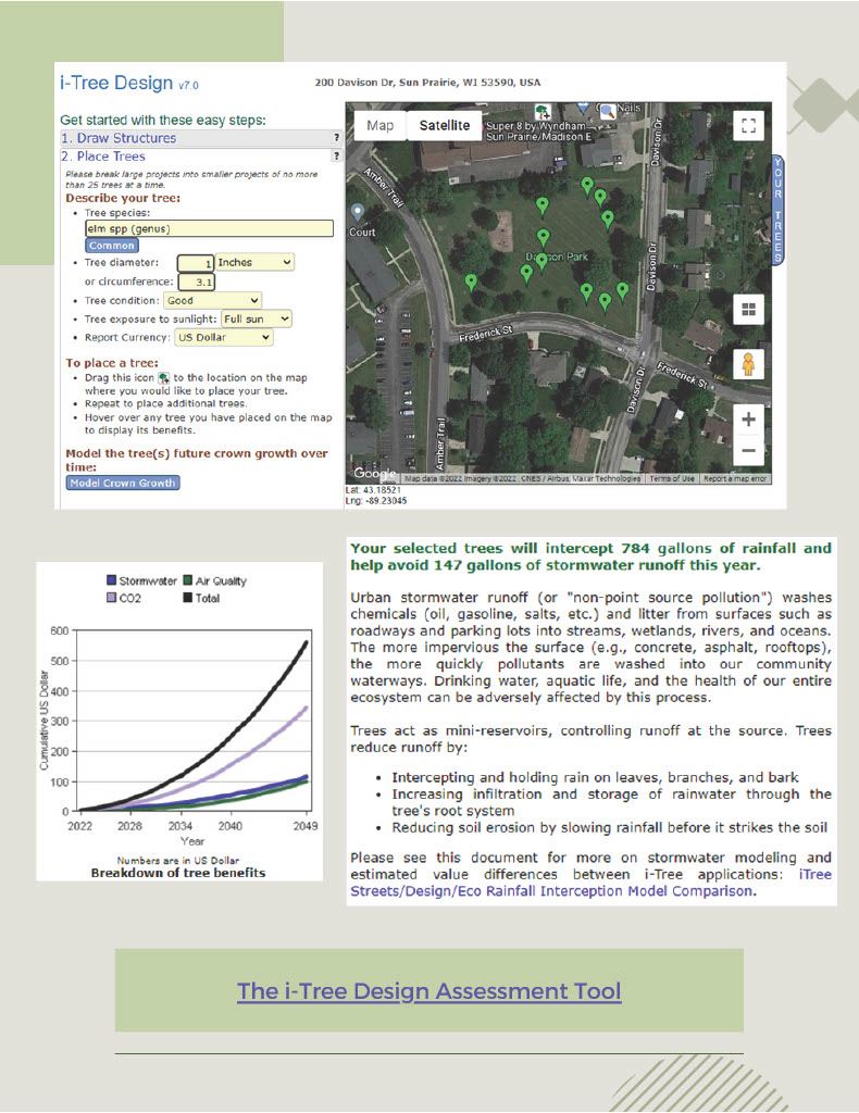 City_of_Sun_Prairie_2022_Tree_Planting_Project1024_4[1] Opens in new window