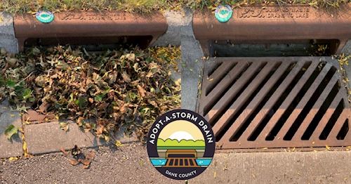 315877689_455912246727125_3550800909806514863_n