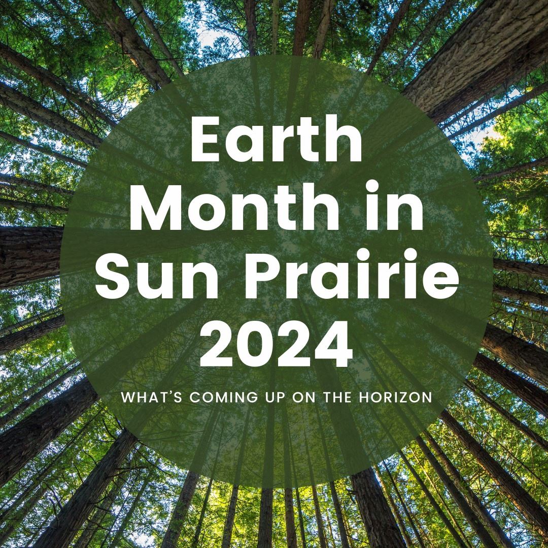 433843725_804708198350802_436961303827151100_n