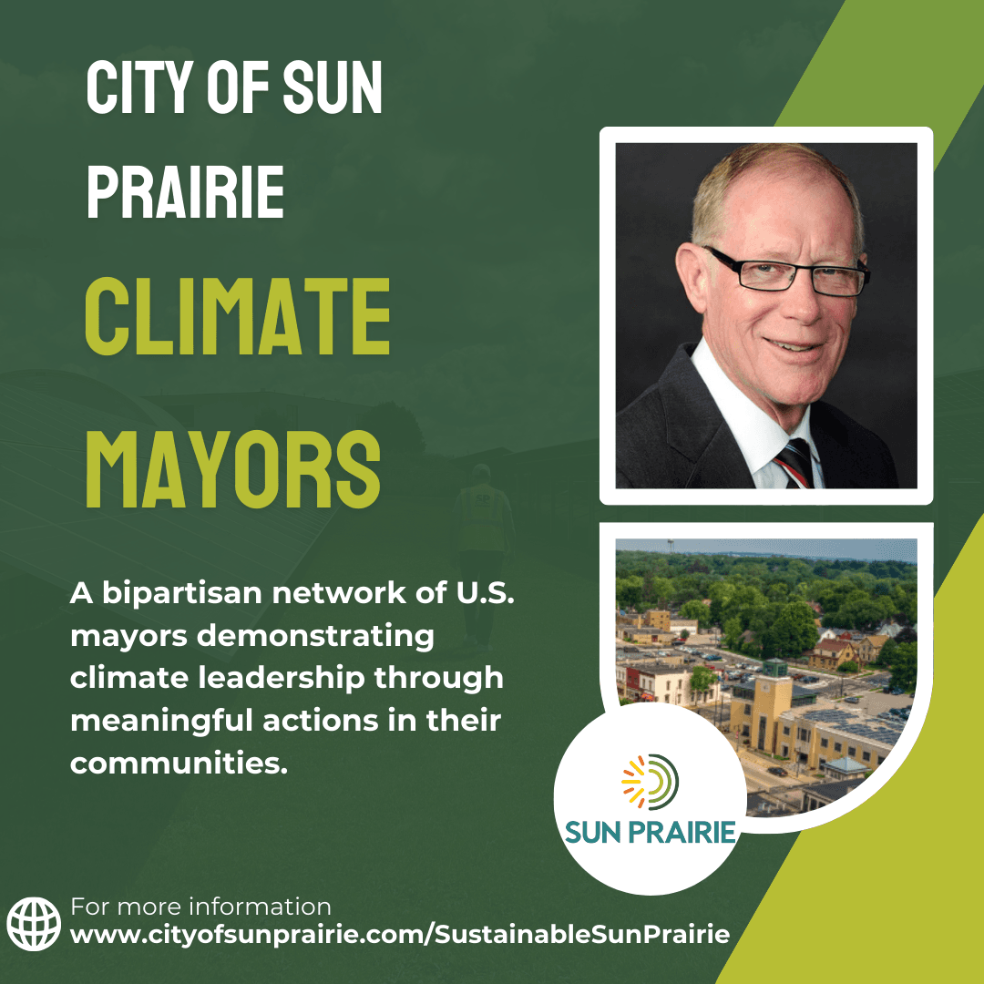 Brown and Cream Modern Collective Instagram Post (1)