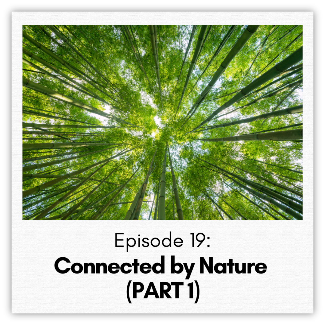 Episode 19