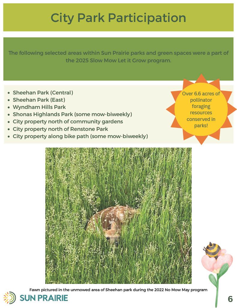 Slow Mow Let it Grow Final Report Page 7